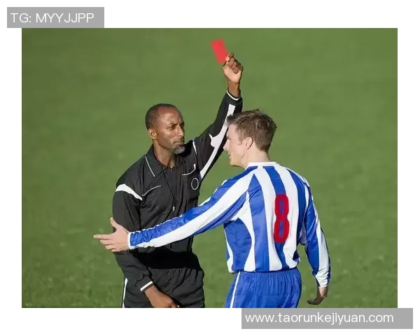 2001年中国足球甲A联赛球星卡回顾与历史价值分析