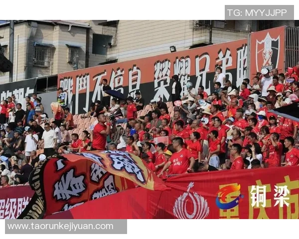 全民聚焦足球星投票活动引爆球迷热情共襄绿茵盛宴 全民聚焦足球星投票活动引爆球迷热情共襄绿茵盛宴